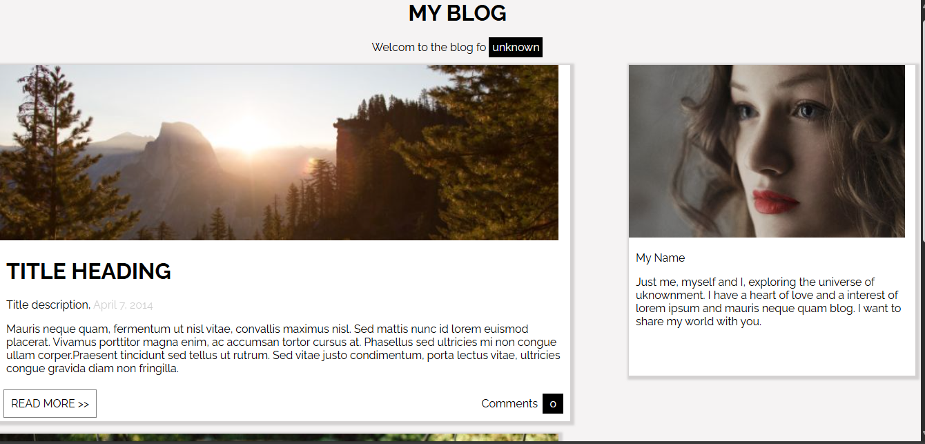 Blog Website